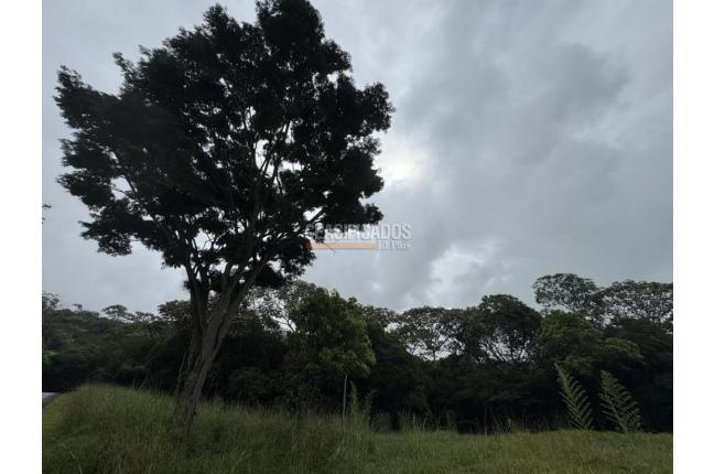 Lotes, Venta, Pance - $1.000.000.000