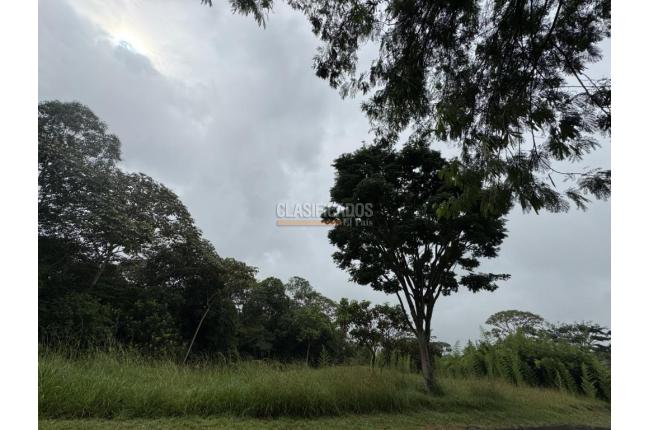 Lotes, Venta, Pance - $1.000.000.000