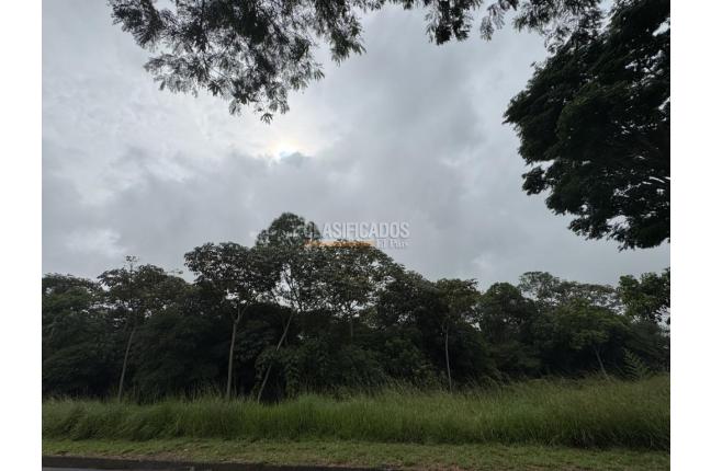 Lotes, Venta, Pance - $1.000.000.000