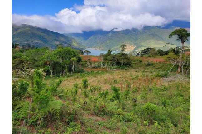 Lotes, Venta, Calima (Darién) - $645.840.000