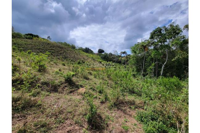 Lotes, Venta, Calima (Darién) - $645.840.000