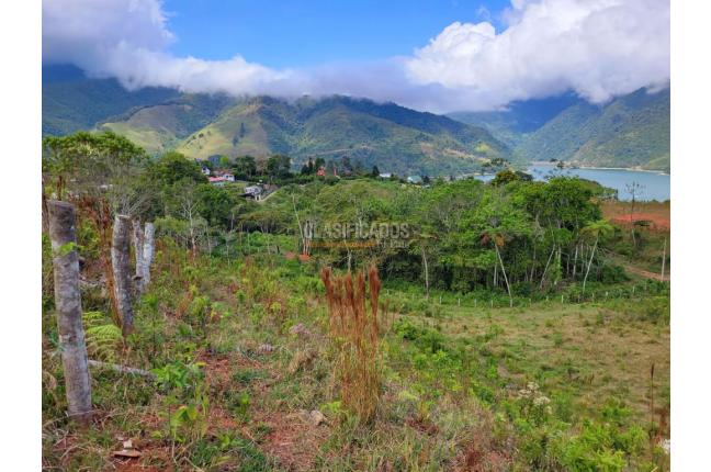 Lotes, Venta, Calima (Darién) - $645.840.000