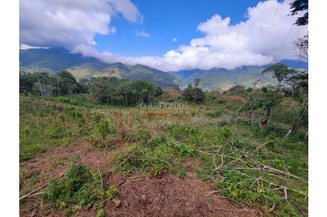 Lotes, Venta, Calima (Darién) - $645.840.000