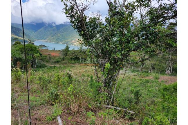 Lotes, Venta, Calima (Darién) - $645.840.000