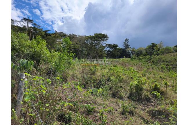 Lotes, Venta, Calima (Darién) - $645.840.000