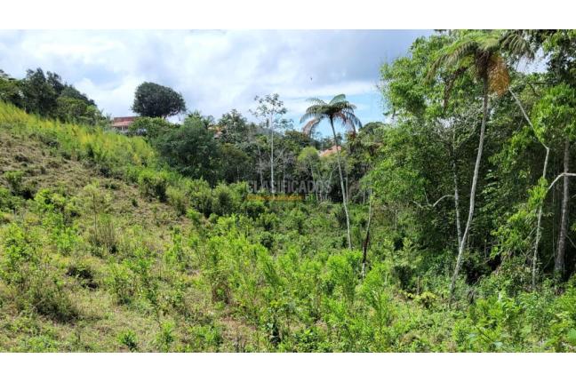 Lotes, Venta, Calima (Darién) - $645.840.000