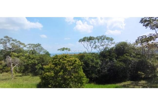 Lotes, Venta, Pance - $1.500.000.000