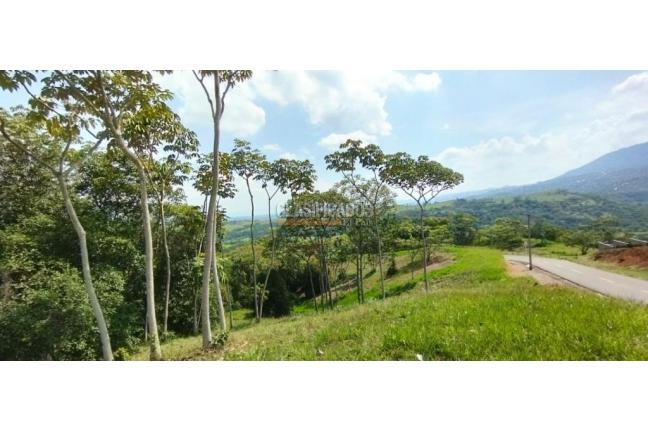 Lotes, Venta, Pance - $1.500.000.000