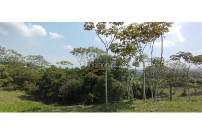 Lotes, Venta, Pance - $1.500.000.000