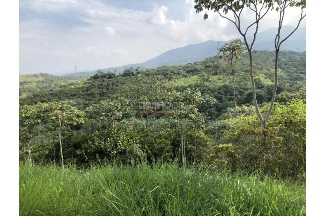 Lotes, Venta, Pance - $1.200.000.000