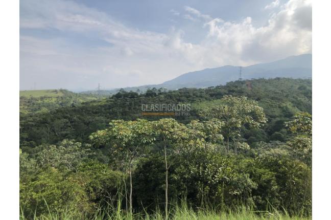 Lotes, Venta, Pance - $1.200.000.000