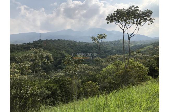 Lotes, Venta, Pance - $1.200.000.000