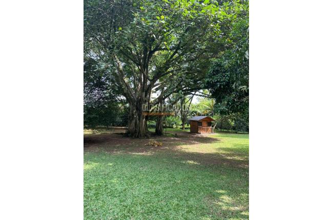 Lotes, Venta en Pance