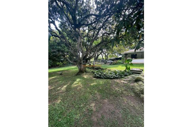 Lotes, Venta, Pance - $8.000.000.000