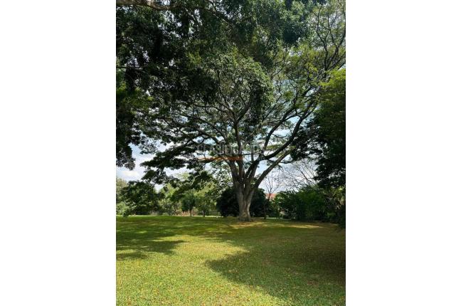 Lotes, Venta, Pance - $8.000.000.000