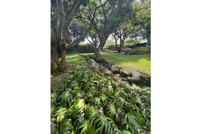 Lotes, Venta, Pance - $8.000.000.000