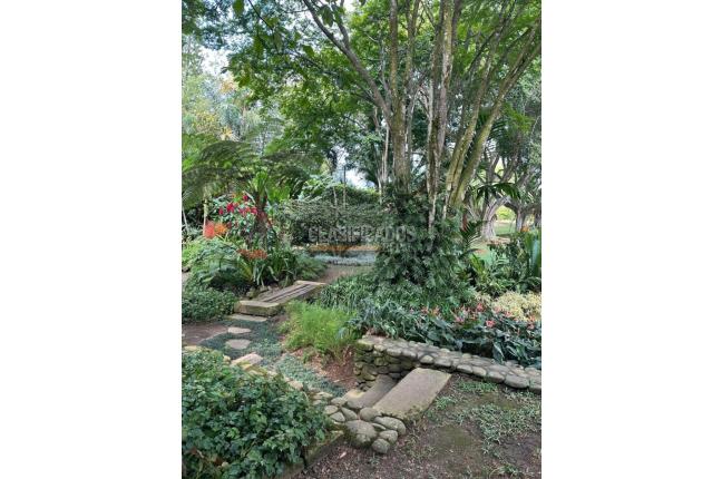 Lotes, Venta, Pance - $8.000.000.000