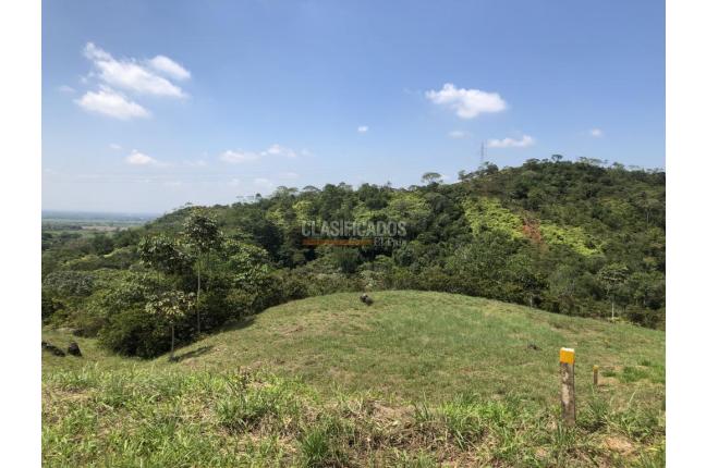 Lotes, Venta, Pance - $970.000.000