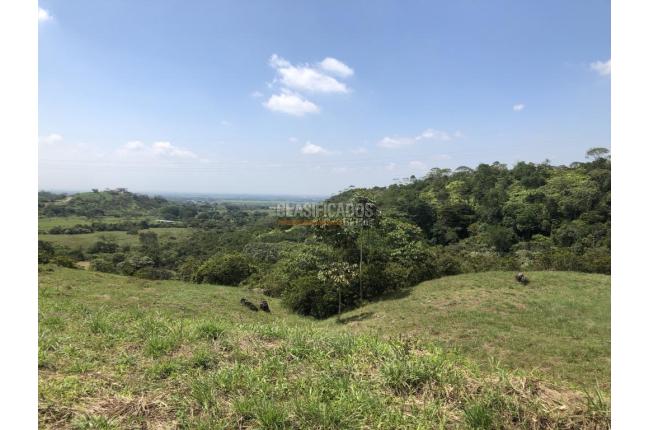 Lotes, Venta, Pance - $970.000.000