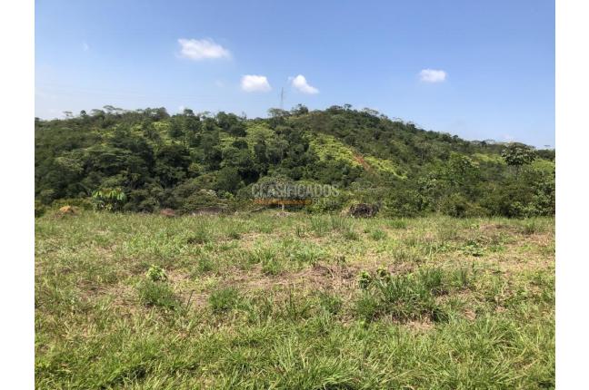 Lotes, Venta, Pance - $970.000.000