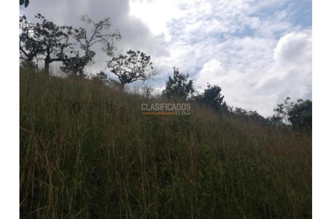 Lotes, Venta en Pance