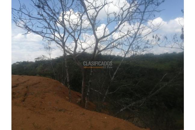 Lotes, Venta en Pance