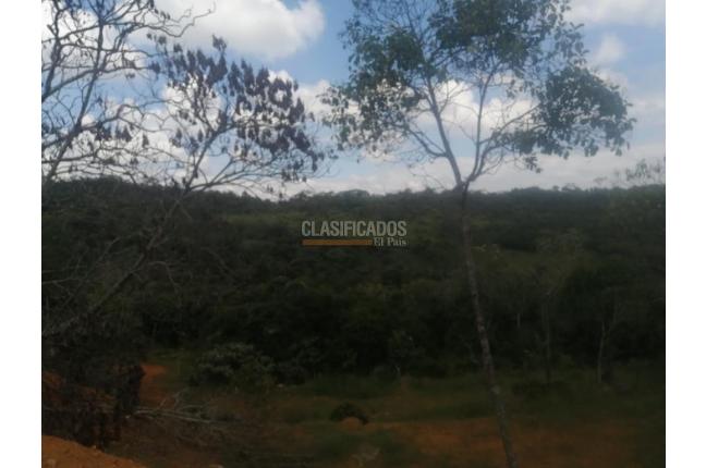 Lotes, Venta, Pance - $1.100.000.000