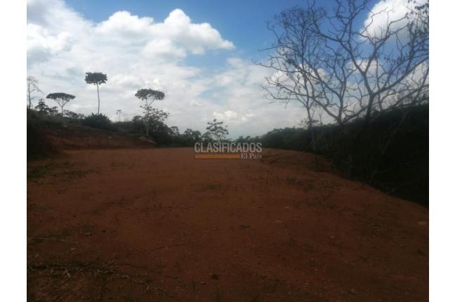 Lotes, Venta, Pance - $1.100.000.000