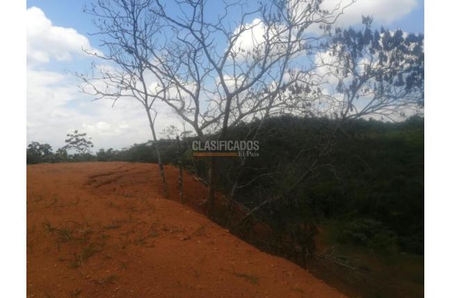 Lotes, Venta, Pance - $1.100.000.000