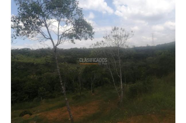 Lotes, Venta, Pance - $1.100.000.000