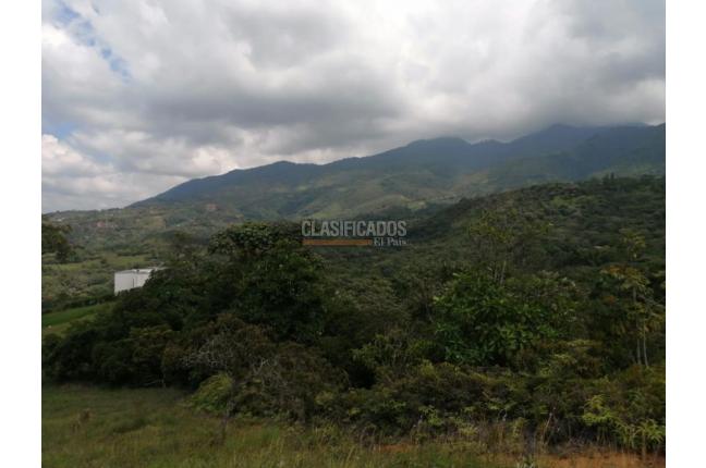 Lotes, Venta, Pance - $840.000.000