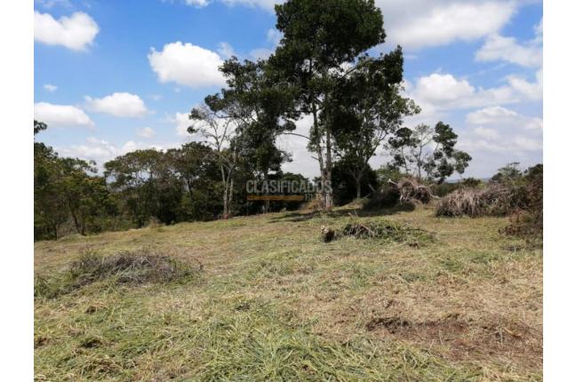 Lotes, Venta, Pance - $960.000.000