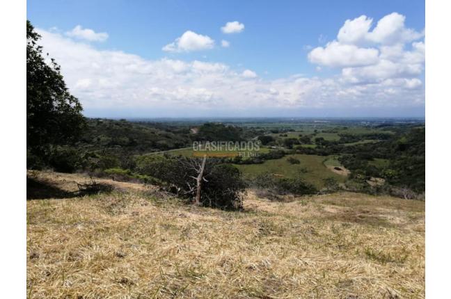 Lotes, Venta, Pance - $960.000.000