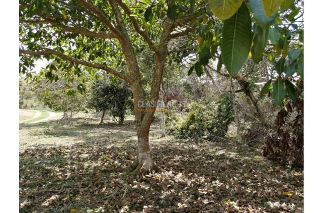 Lotes, Venta, Pance - $960.000.000