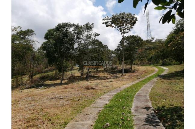 Lotes, Venta, Pance - $960.000.000