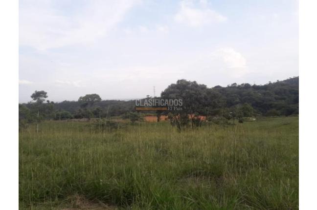 Lotes, Venta, Pance - $890.000.000