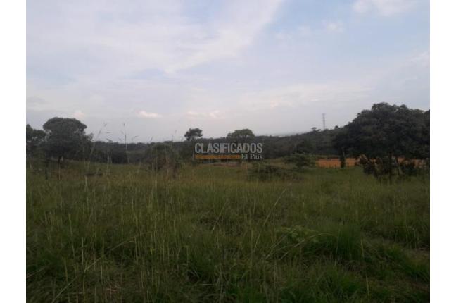 Lotes, Venta, Pance - $890.000.000