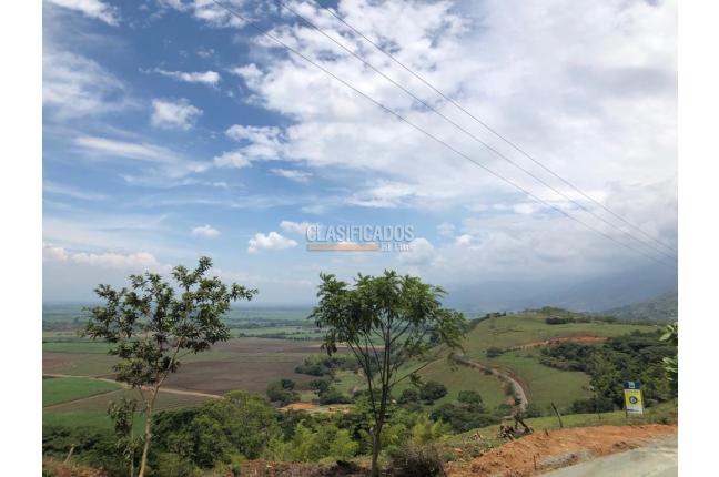 Lotes, Venta, Palmira - $400.000.000