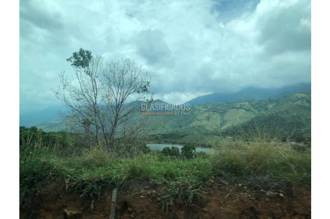 Lotes, Venta, Palmira - $400.000.000