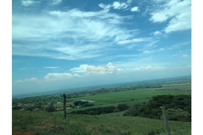 Lotes, Venta, Palmira - $400.000.000