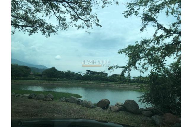 Lotes, Venta, Palmira - $400.000.000