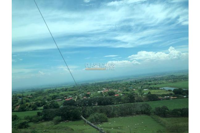 Lotes, Venta, Palmira - $400.000.000