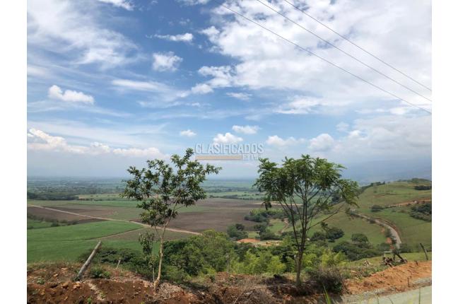 Lotes, Venta, Palmira - $400.000.000