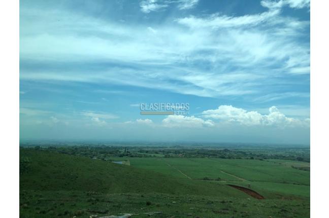 Lotes, Venta, Palmira - $400.000.000