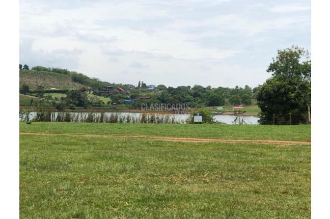 Lotes, Venta, Palmira - $400.000.000