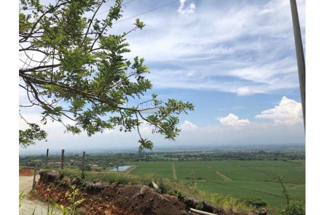 Lotes, Venta, Palmira - $400.000.000