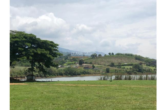 Lotes, Venta, Palmira - $400.000.000