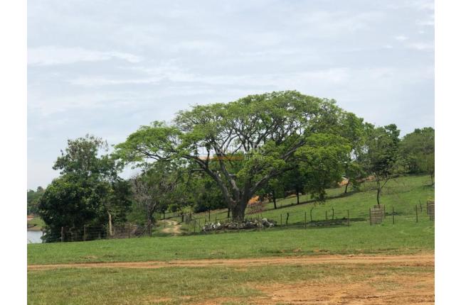 Lotes, Venta, Palmira - $400.000.000