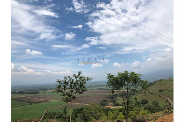 Lotes, Venta, Palmira - $400.000.000