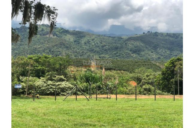 Lotes, Venta, Palmira - $400.000.000